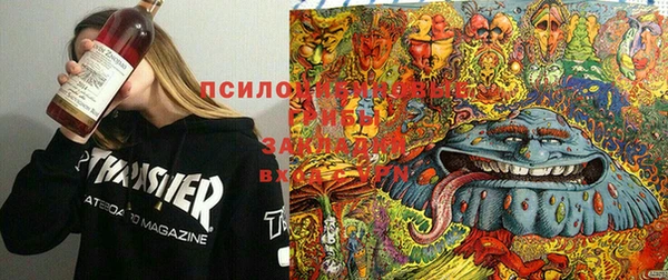 экстази Баксан